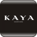 Kaya软件